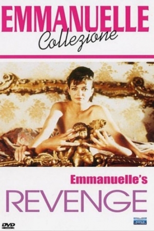 DVD Cover (France)